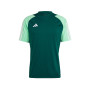 Tiro 23 Competition Training-Team Dark Green-Beam Green
