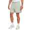 Nike Club Flow Shorts