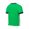 T-Shirt Nike Academy 25